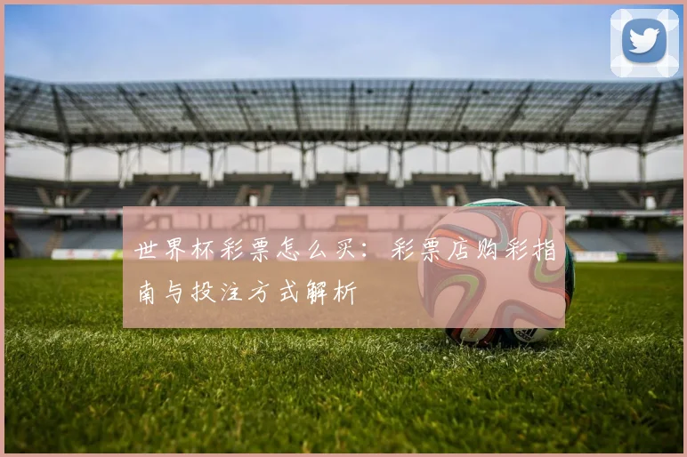世界杯彩票怎么买：彩票店购彩指南与投注方式解析