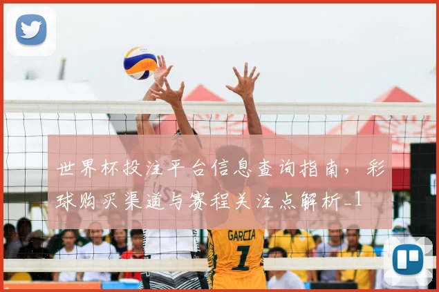 世界杯投注平台信息查询指南,彩球购买渠道与赛程关注点解析_1