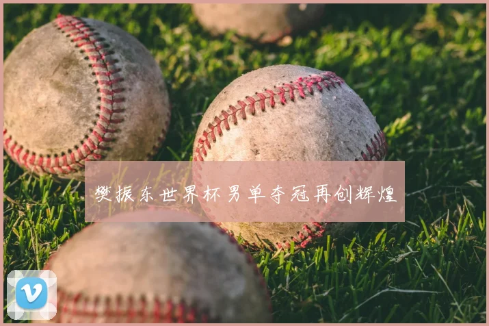 樊振东世界杯男单夺冠再创辉煌