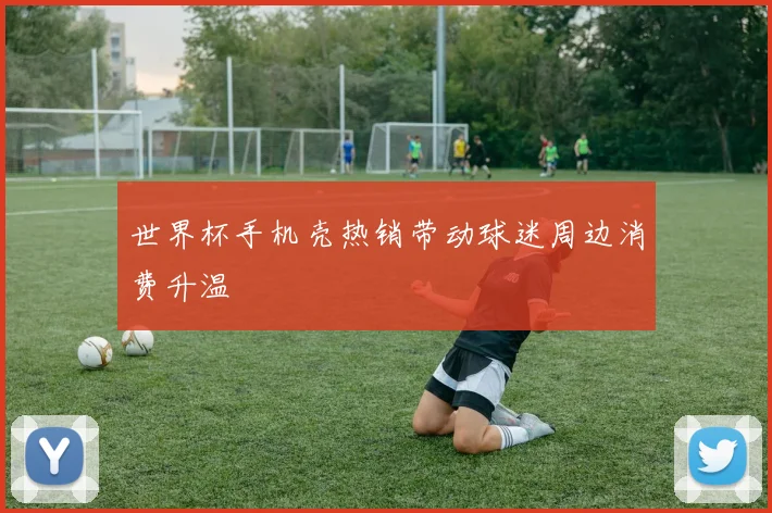 世界杯手机壳热销带动球迷周边消费升温