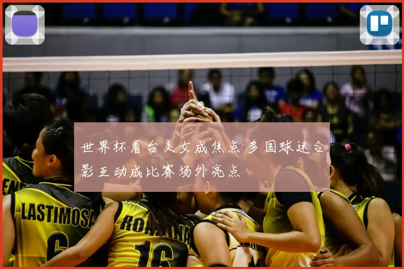 世界杯看台美女成焦点 多国球迷合影互动成比赛场外亮点