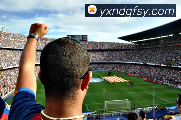 开云手机网页登录网页平台生态图